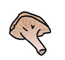 Illustration.